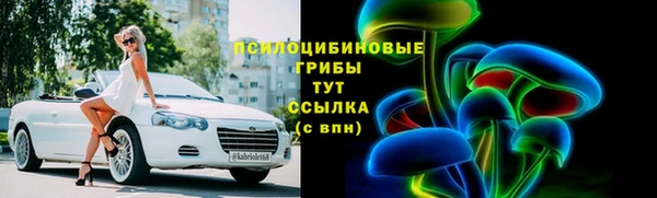 гидра Абаза