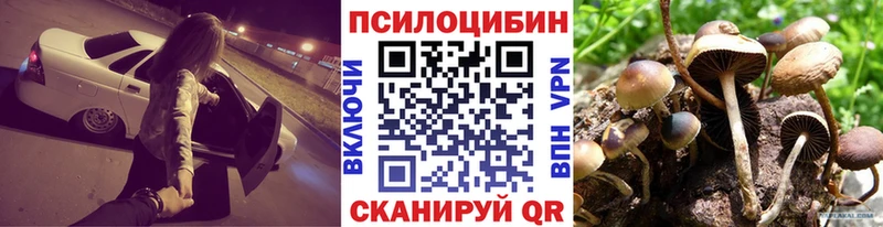 Псилоцибиновые грибы прущие грибы  Сертолово 